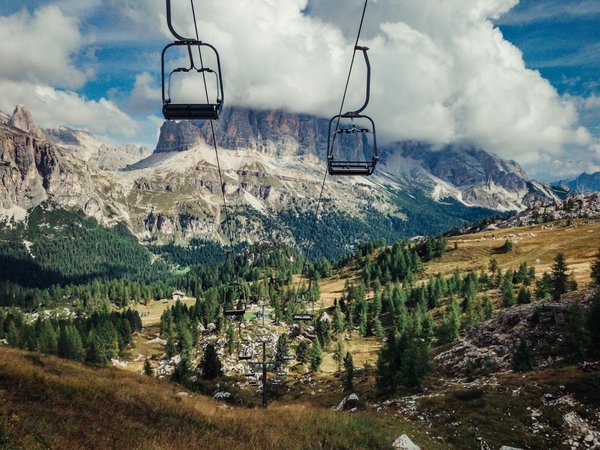 Où trouver les meilleurs spots pour observer les tortues géantes aux Seychelles : périodes et conseils ?