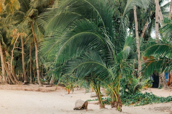 Quels sont les équipements indispensables pour un camping en région polaire en été?